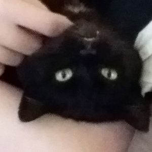 Meet your Posher, Bernadine